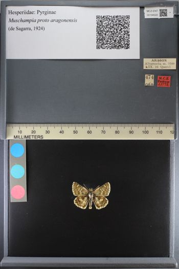 Media type: image;   Entomology 194522